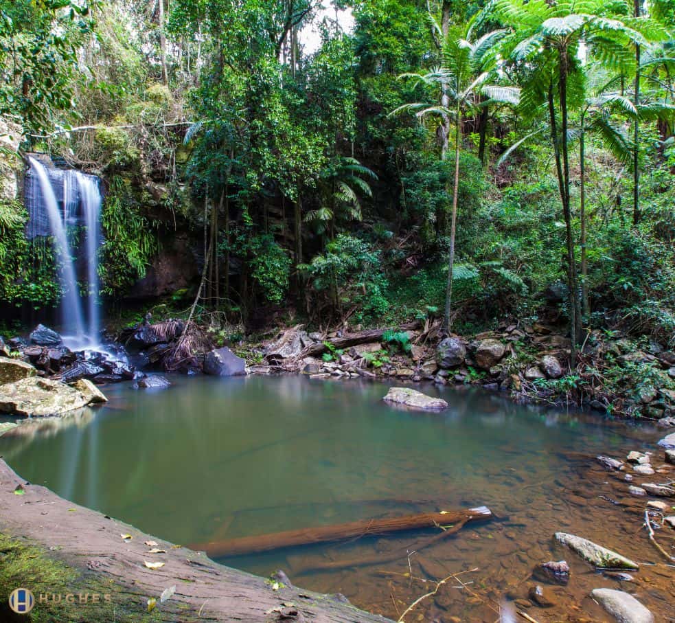 Mount Tamborine – the perfect day trip from Brisbane