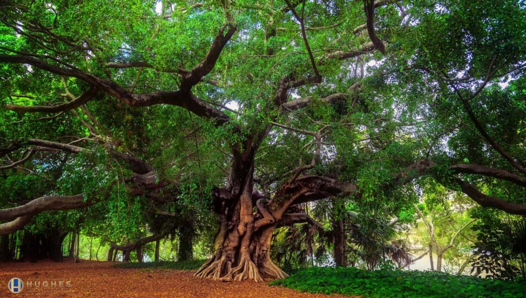 Moreton Bay Airport Transfers Brisbane Hughes Chauffeurs