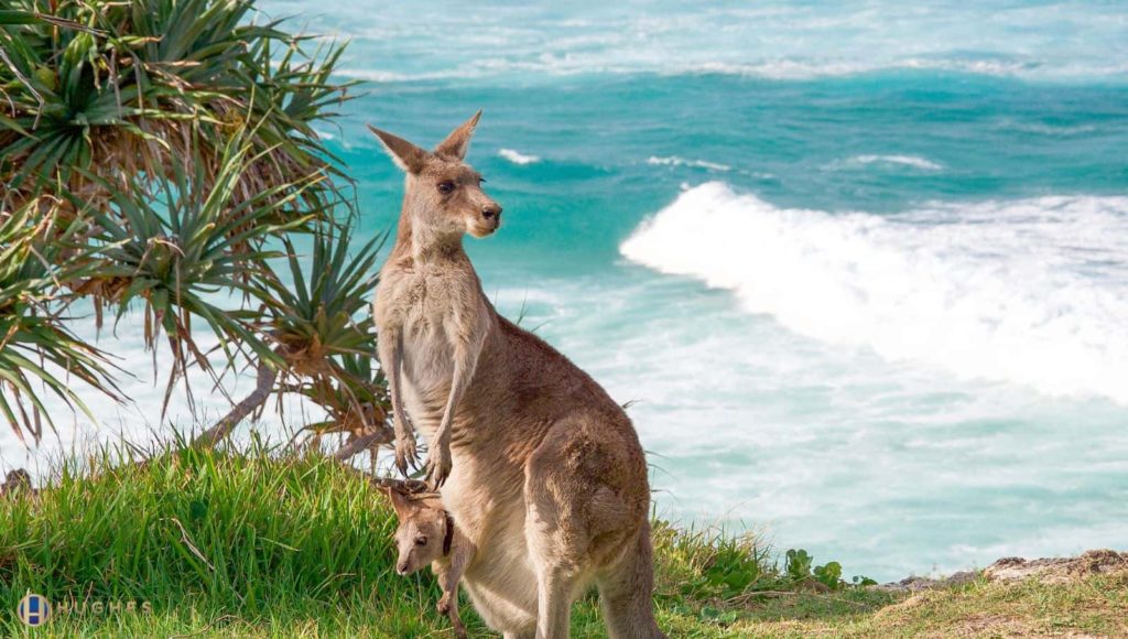 Stradbroke Island Chauffeur