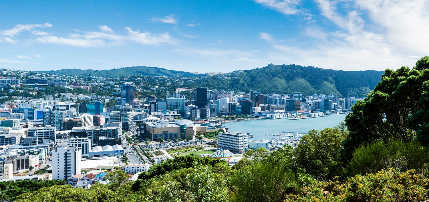 Wellington aerial view - Hughes airport transfer